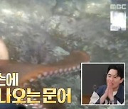 '안다행' 안정환, 촌장위엄 보이며 '문어 포획' 성공[별별TV]