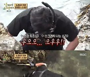 안정환, 촌장 자존심 지켰다…문어 잡고 '기세등등' [RE:TV]