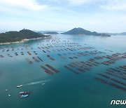 "완도 해산물 우수성은 해저 맥반석·갯벌·해수성분 영향"