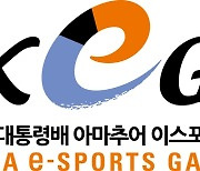 제15회 대통령배 아마추어 e스포츠 대회, 7월부터 지역 대표 선발전 개최