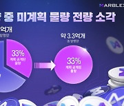 넷마블 마브렉스, MBX 토큰 6억7000만개 소각 찬반 투표