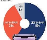 "아이폰15 패널 90% 공급"… 삼성D·LGD 실적 반등 초읽기