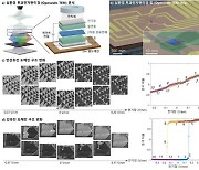 서강대학교 물리학과 유효빈, 양상모 교수 연구팀, 2차원 소재의 분극 도메인 구조 변화 실시간 관찰