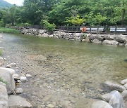 경기도보건환경연구원, 계곡 등 물놀이 몰리는 피서지 주기적 수질 조사 공개