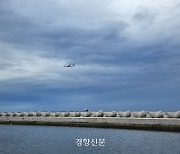 “섬이라서…” 국가자격증 따러가는 미취업 제주 청년들 항공료 지원