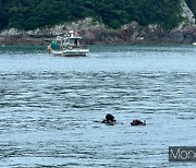 여수해상 어선충돌 실종 60대 선장 숨진채 발견