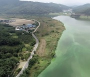 대구시, '조류 경보' 발령에 고도정수처리 등 비상대응체계 가동