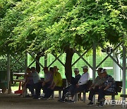 대구는 폭염주의보