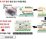 자가 혈액으로 흉터없이 상처 회복 기술 개발