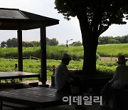 [포토] 습하고 더운 날씨