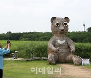 [포토] 하늘공원 반달곰