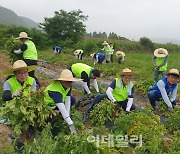 [포토] 농협-한진, 농촌일손돕기