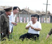 북한 '재해성 이상 기후' 보도 급증… 농업 피해 예방 총력