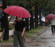 '호우경보' 부산 밤사이 큰 피해 없어…통행 제한된 도로도 속속 재개