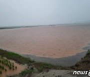 시간당 최대 71.5㎜ 폭우…가뭄 신음하던 전남 하룻밤 사이 '물바다'