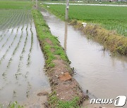 전남농기원 "장마철 피해 예방 위해 농작물 관리해야"