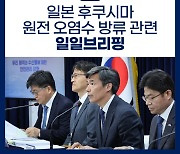 후쿠시마 원전 오염수 방류 관련 일일브리핑(6.27.)