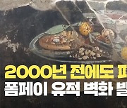 [현장영상] 2000년 전에도 피자가?…폼페이 벽화 발견