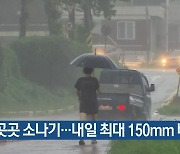 대전·세종·충남 곳곳 소나기…내일 최대 150mm 비