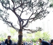 조세심판원 이전 기념식수 하는 한덕수 총리