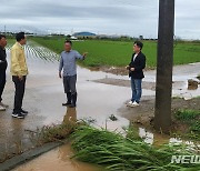 '장맛비 집중호우' 나주서 벼논 486㏊ 침수…복구 총력