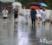 전남 동부 150mm 물폭탄…도로 잠기고 가로수 쓰러져