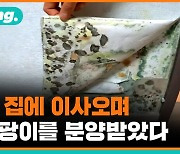 [비디오머그] 곰팡이에 혹파리까지…새집인데 분통 터져