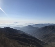 산림 경제·공익적 가치 증진···경기도, 산림사업에 1333억원 투입