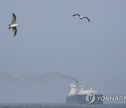 Canada Wildfires Air Quality Great Lakes