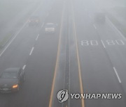 안개비 내리는 제주