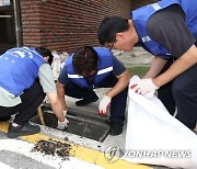 은평구, 호우 대비 빗물받이 대청소 실시