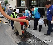 은평구, 호우 대비 빗물받이 대청소 실시