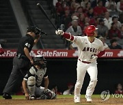 White Sox Angels Baseball