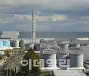 "日 오염수 방류로 암 걸린대요"....당국, 보험사 부당권유 '제동'