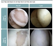 엘앤씨바이오, 메가카티 범부처 전주기 의료기기 임상시험 지원사업 우수등급 획득