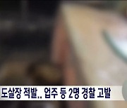 익산 개 도살장 적발..업주 등 2명 경찰 고발