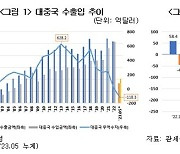 "中 발전 속도 빨라…대중국 무역적자 장기·고착화 가능성 커"