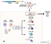 KAIST, 호흡기부터 강력하게 코로나19 차단  점막 백신 개발