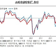 대구·경북 소비자심리지수 2개월 연속 기준치 상회…"부동산 개선 영향"