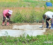 괴산군 "농작업·야외활동 진드기 물림 주의하세요"