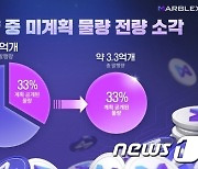 'K-코인' 트렌드 된 토큰 소각, 넷마블도 가세…증권성 우려 해소되나