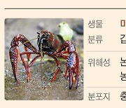 과일 흡혈귀, 차밭 파괴자, 괴물 쥐… 외래 2653종의 습격