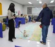 경기도, 여름방학 기간 어린이와 가족대상 '반려가족 문화 교육' 실시