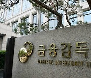 금감원, ‘기관전용 사모집합투자기구 실무안내’ 발간