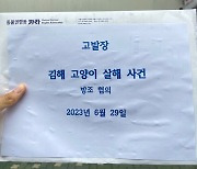 12층서 추락한 고양이 2마리…카라 “동물 학대 정황”