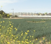 서부중학교 설립 속도 낼 듯...사유지 매매 협의