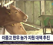 이중고 한우 농가 지원 대책 추진