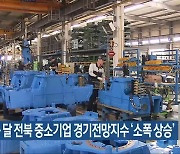 다음 달 전북 중소기업 경기전망지수 ‘소폭 상승’