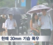 서울 오전 9시 호우주의보…점심시간 시간당 30mm 집중 물벼락