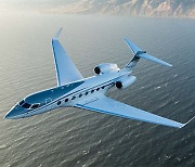 Hyundai Motor Group to add new private jet on growing overseas trips